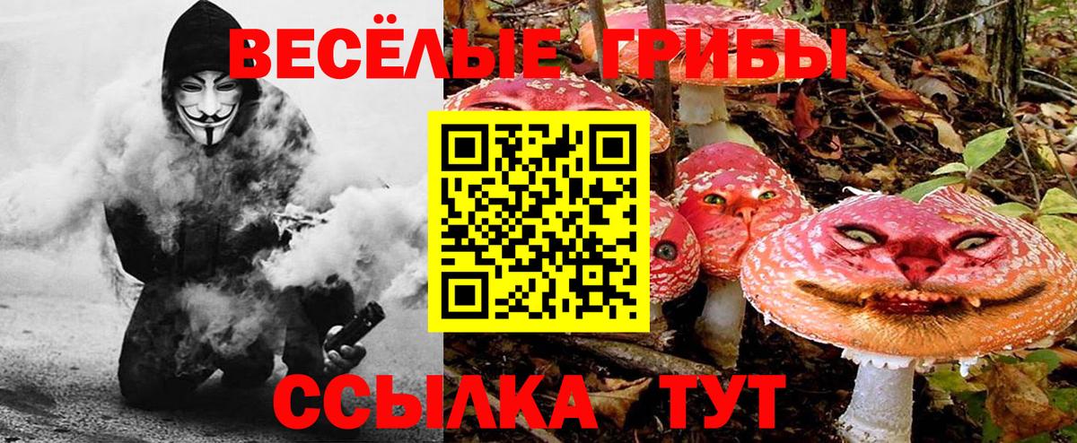 Галлюциногенные грибы GOLDEN TEACHER Заводоуковск