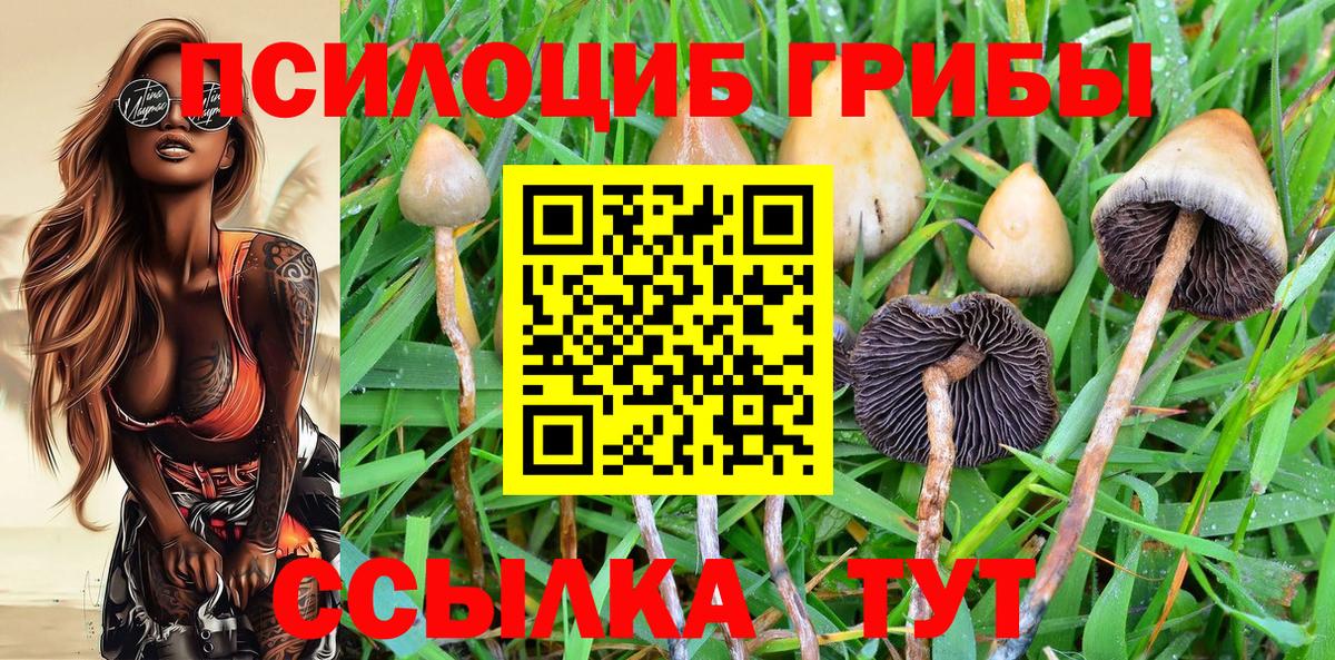 Галлюциногенные грибы мухоморы  Вход с VPN  Заводоуковск  Галлюциногенные грибы Magic Shrooms 